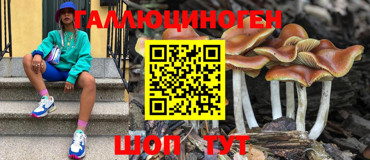 COCAIN  Каннабис  A-PVP СК   Наркошоп  Меф   ГАШ  Сатка  Вход с VPN  Экстази 