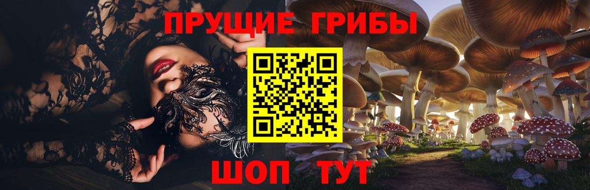 Галлюциногенные грибы Psilocybine cubensis  Псилоцибиновые грибы прущие грибы  Вход с VPN  Сатка 